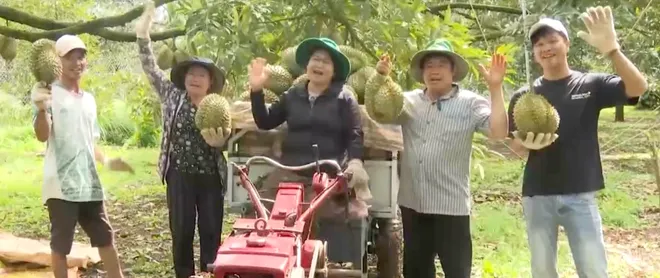 Sầu riêng Đắk Lắk vào vụ, mở rộng khát vọng kết nối và vươn xa- Ảnh 6. Sầu riêng Đắk Lắk vào vụ, mở rộng khát vọng kết nối và vươn xa- Ảnh 6.
