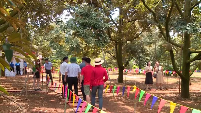 Đắk Lắk 2026: Đánh thức mọi giác quan tại Lễ hội Sầu riêng “Kết nối vươn xa”- Ảnh 8. Đắk Lắk 2026: Đánh thức mọi giác quan tại Lễ hội Sầu riêng “Kết nối vươn xa”- Ảnh 8.