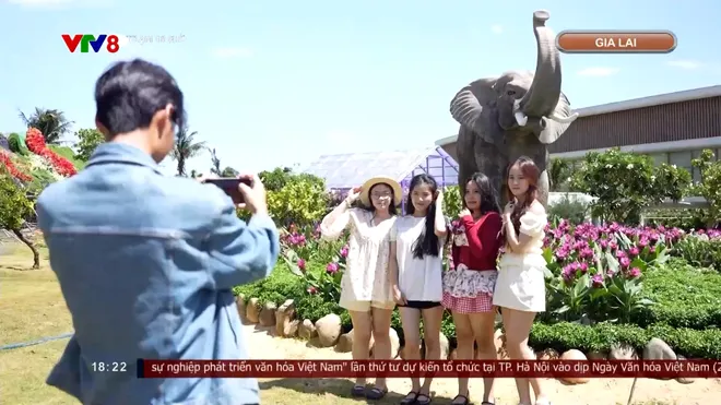 Hành trình đưa ngàn hoa về phố biển- Ảnh 5. Hành trình đưa ngàn hoa về phố biển- Ảnh 5.