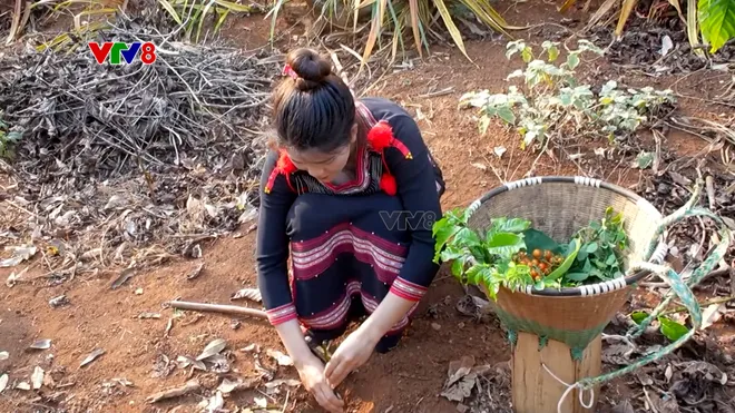 Cà phê từ sản phẩm nông nghiệp đến di sản văn hóa- Ảnh 1. Cà phê từ sản phẩm nông nghiệp đến di sản văn hóa- Ảnh 1.