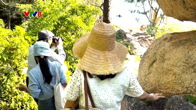 Khám phá Hòn Đỏ: Gành đá kỳ thú bên vịnh Nha Trang- Ảnh 11. Khám phá Hòn Đỏ: Gành đá kỳ thú bên vịnh Nha Trang- Ảnh 11.