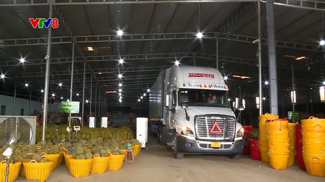 Khai mạc Lễ hội Sầu riêng Đắk Lắk 2026: Đổi mới tư duy từ trái ngọt bazan- Ảnh 5. Khai mạc Lễ hội Sầu riêng Đắk Lắk 2026: Đổi mới tư duy từ trái ngọt bazan- Ảnh 5.