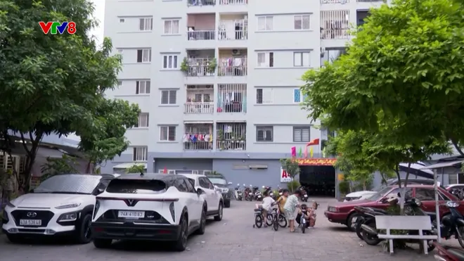 Cảnh báo khỉ hoang xâm nhập khu dân cư tại Sơn Trà- Ảnh 2. Cảnh báo khỉ hoang xâm nhập khu dân cư tại Sơn Trà- Ảnh 2.
