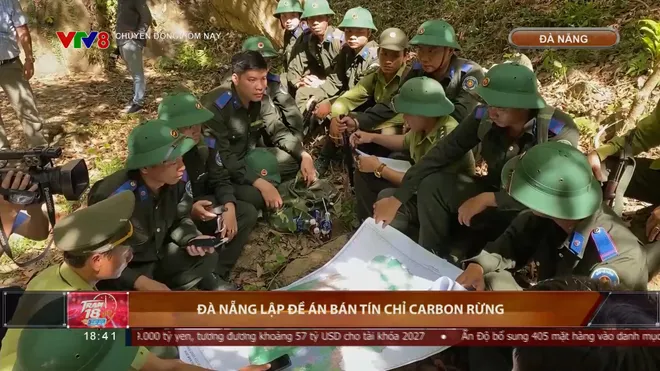 Đ&agrave; Nẵng lập đề &aacute;n b&aacute;n t&iacute;n chỉ carbon rừng- Ảnh 1.