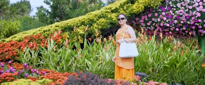“Ngàn hoa về phố biển” điểm đến thu hút du khách- Ảnh 7. “Ngàn hoa về phố biển” điểm đến thu hút du khách- Ảnh 7.