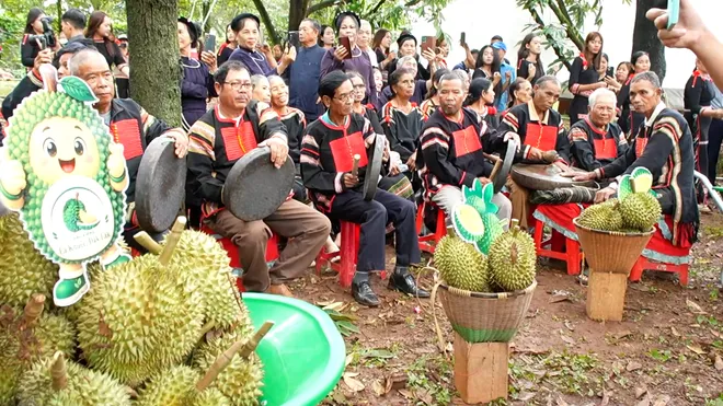 Điểm nhấn văn hóa tại Lễ hội Sầu riêng Đắk Lắk 2026- Ảnh 10. Điểm nhấn văn hóa tại Lễ hội Sầu riêng Đắk Lắk 2026- Ảnh 10.