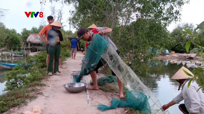 Rừng đước bên sông Tắc mang sắc xanh bình yên giữa phố biển- Ảnh 8. Rừng đước bên sông Tắc mang sắc xanh bình yên giữa phố biển- Ảnh 8.