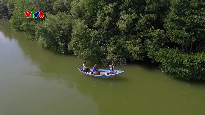 Rừng đước bên sông Tắc mang sắc xanh bình yên giữa phố biển- Ảnh 2. Rừng đước bên sông Tắc mang sắc xanh bình yên giữa phố biển- Ảnh 2.