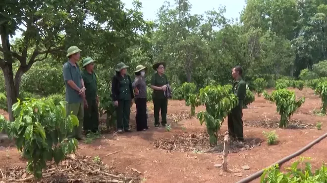 Phát huy truyền thống Thanh niên xung phong trong thời kỳ mới- Ảnh 1. Phát huy truyền thống Thanh niên xung phong trong thời kỳ mới- Ảnh 1.