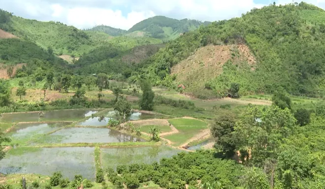 Đăk Sơ Mei: Khát vọng vươn lên từ những mô hình chuyển đổi sinh kế- Ảnh 2. Đăk Sơ Mei: Khát vọng vươn lên từ những mô hình chuyển đổi sinh kế- Ảnh 2.