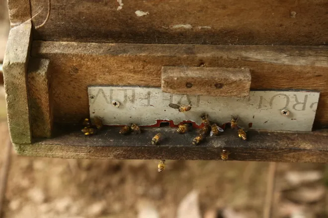 Nh&atilde;n lồng Hưng Y&ecirc;n: Từ thức qu&agrave; tiến vua đến h&agrave;nh tr&igrave;nh di sản quốc tế - Ảnh 9.