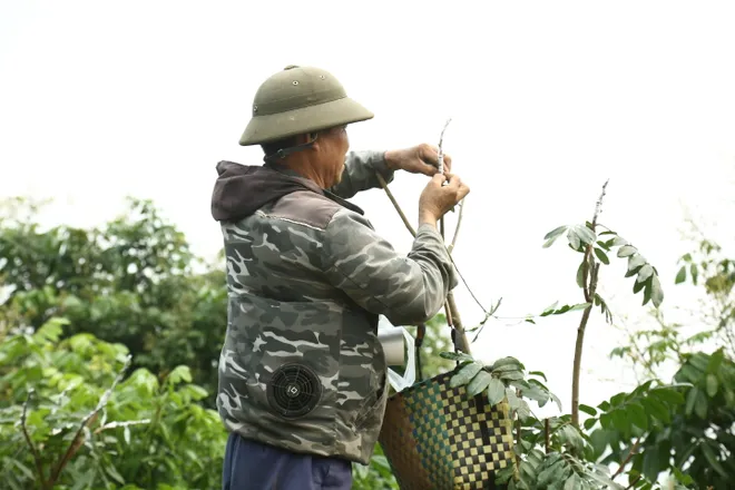 Nh&atilde;n lồng Hưng Y&ecirc;n: Từ thức qu&agrave; tiến vua đến h&agrave;nh tr&igrave;nh di sản quốc tế - Ảnh 8.
