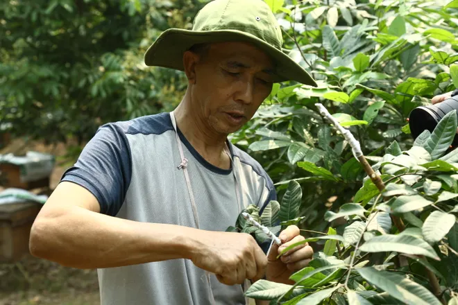 Nh&atilde;n lồng Hưng Y&ecirc;n: Từ thức qu&agrave; tiến vua đến h&agrave;nh tr&igrave;nh di sản quốc tế - Ảnh 2.