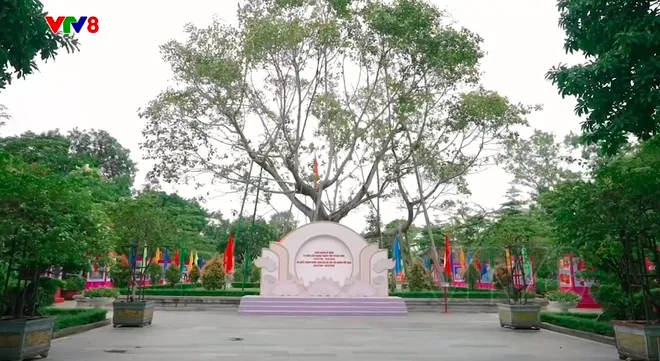 Lễ Giỗ Bác lần thứ 57 tại Kim Liên: Sự giao thoa đặc biệt giữa lòng tri ân và niềm tự hào dân tộc- Ảnh 7. Lễ Giỗ Bác lần thứ 57 tại Kim Liên: Sự giao thoa đặc biệt giữa lòng tri ân và niềm tự hào dân tộc- Ảnh 7.