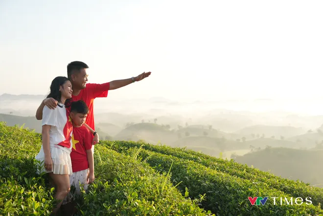 Rực rỡ cờ đỏ sao v&agrave;ng tại đồi ch&egrave; b&aacute;t &uacute;p Lễ Quốc kh&aacute;nh - Ảnh 4.