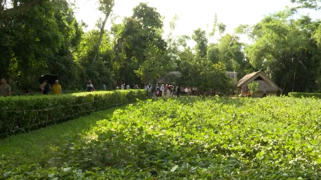 Làng Sen quê Bác: Mạch nguồn tri ân trong ngày Tết Độc lập- Ảnh 1. Làng Sen quê Bác: Mạch nguồn tri ân trong ngày Tết Độc lập- Ảnh 1.