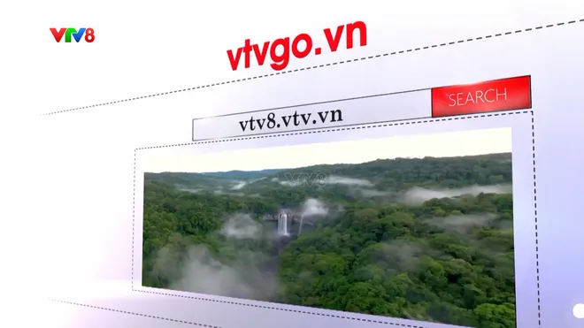 56 năm VTV đồng hành cùng khán giả, VTV8 trên hành trình mới- Ảnh 16. 56 năm VTV đồng hành cùng khán giả, VTV8 trên hành trình mới- Ảnh 16.