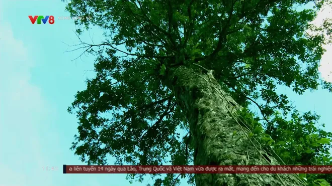 Du lịch Pù Luông, điểm hẹn bốn mùa giữa miền Tây xứ Thanh- Ảnh 4. Du lịch Pù Luông, điểm hẹn bốn mùa giữa miền Tây xứ Thanh- Ảnh 4.