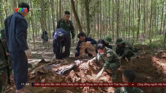 Phát hiện thêm hài cốt liệt sĩ tại Bãi Dinh, Quảng Trị- Ảnh 1. Phát hiện thêm hài cốt liệt sĩ tại Bãi Dinh, Quảng Trị- Ảnh 1.