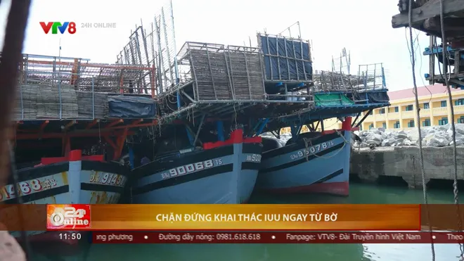 Chặn khai th&aacute;c IUU ngay từ bờ, trước mỗi chuyến ra khơi- Ảnh 1.
