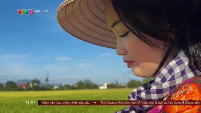 Cánh đồng vàng mùa thu ở Khánh Hòa đẹp ngỡ ngàng- Ảnh 7. Cánh đồng vàng mùa thu ở Khánh Hòa đẹp ngỡ ngàng- Ảnh 7.