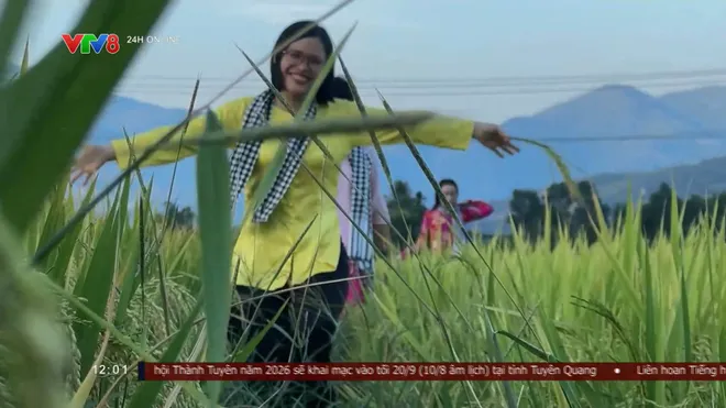 Cánh đồng vàng mùa thu ở Khánh Hòa đẹp ngỡ ngàng- Ảnh 8. Cánh đồng vàng mùa thu ở Khánh Hòa đẹp ngỡ ngàng- Ảnh 8.