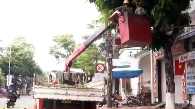 Quảng Ngãi chủ động cắt tỉa cây xanh bảo vệ an toàn mùa mưa bão- Ảnh 3. Quảng Ngãi chủ động cắt tỉa cây xanh bảo vệ an toàn mùa mưa bão- Ảnh 3.