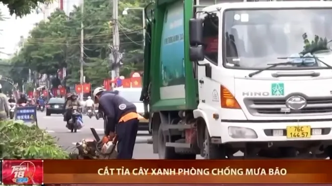 Quảng Ngãi chủ động cắt tỉa cây xanh bảo vệ an toàn mùa mưa bão- Ảnh 1. Quảng Ngãi chủ động cắt tỉa cây xanh bảo vệ an toàn mùa mưa bão- Ảnh 1.