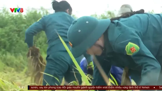 Hà Tĩnh khẩn trương “cứu lúa” sau mưa lớn- Ảnh 5. Hà Tĩnh khẩn trương “cứu lúa” sau mưa lớn- Ảnh 5.