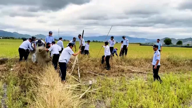 Kh&aacute;nh H&ograve;a: Mở đợt cao điểm bảo vệ đ&agrave;n chim yến- Ảnh 2.