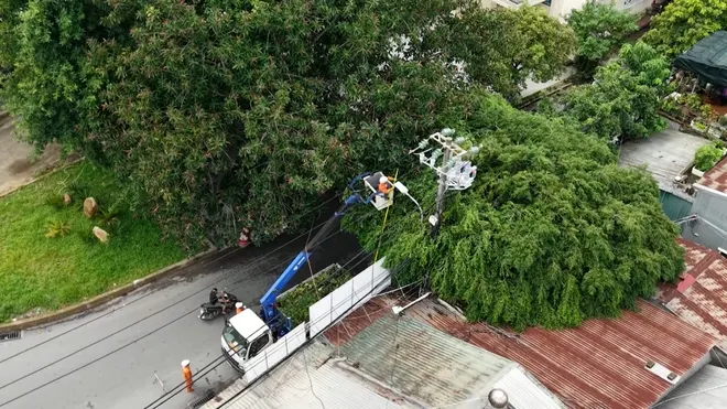 TP. Huế: Đảm bảo an to&agrave;n lưới điện trước m&ugrave;a mưa b&atilde;o- Ảnh 1.