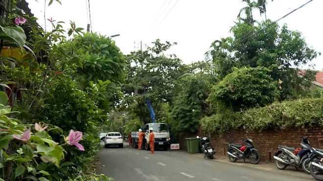 TP. Huế: Đảm bảo an to&agrave;n lưới điện trước m&ugrave;a mưa b&atilde;o- Ảnh 3.