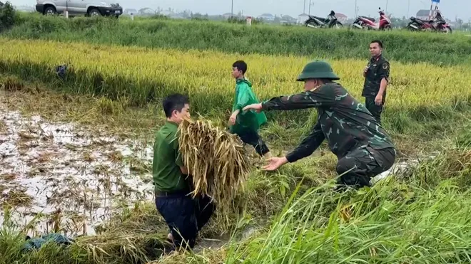 Ấm tình quân dân giữa mùa mưa lũ- Ảnh 11. Ấm tình quân dân giữa mùa mưa lũ- Ảnh 11.