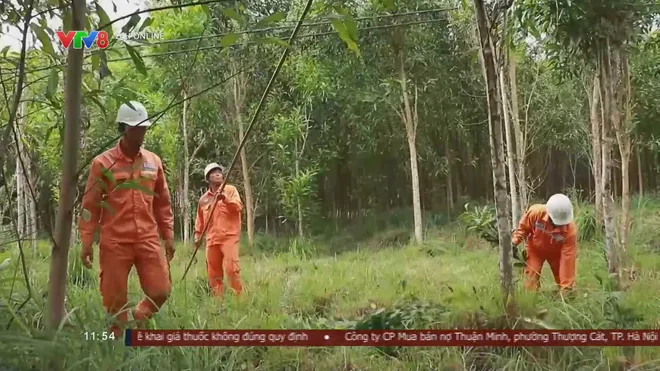 Điện lực Quảng Ng&atilde;i chủ động bảo vệ h&agrave;nh lang an to&agrave;n lưới điện trước m&ugrave;a mưa b&atilde;o- Ảnh 2.