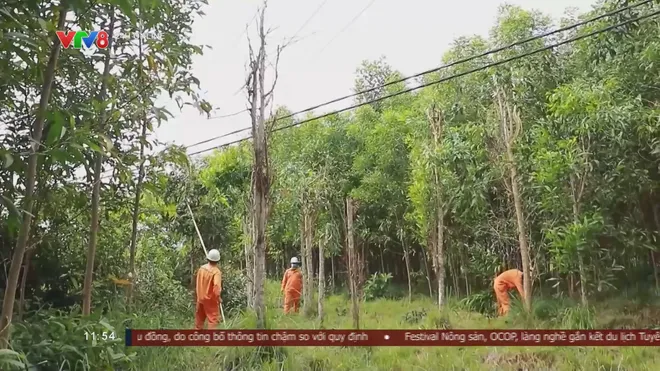 Điện lực Quảng Ng&atilde;i chủ động bảo vệ h&agrave;nh lang an to&agrave;n lưới điện trước m&ugrave;a mưa b&atilde;o- Ảnh 1.
