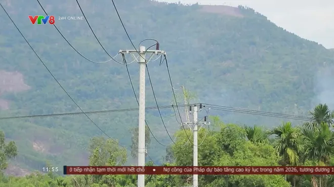 Điện lực Quảng Ng&atilde;i chủ động bảo vệ h&agrave;nh lang an to&agrave;n lưới điện trước m&ugrave;a mưa b&atilde;o- Ảnh 8.