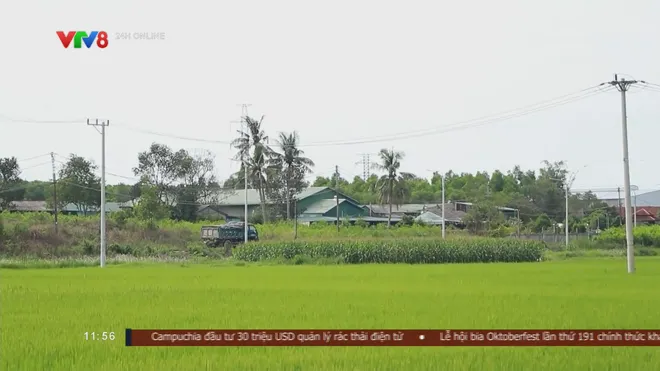 Điện lực Quảng Ng&atilde;i chủ động bảo vệ h&agrave;nh lang an to&agrave;n lưới điện trước m&ugrave;a mưa b&atilde;o- Ảnh 9.