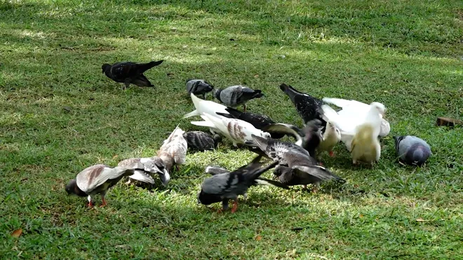 Đưa âm nhạc về làng: Lan tỏa không gian văn hóa cộng đồng- Ảnh 2. Đưa âm nhạc về làng: Lan tỏa không gian văn hóa cộng đồng- Ảnh 2.
