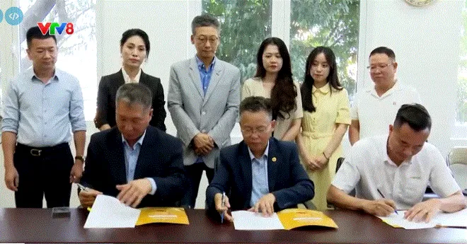Giải chạy Quốc tế v&igrave; Đ&agrave; Lạt xanh 2026 - Lan tỏa th&ocirc;ng điệp sống xanh, kết nối thể thao với ph&aacute;t triển bền vững- Ảnh 4.