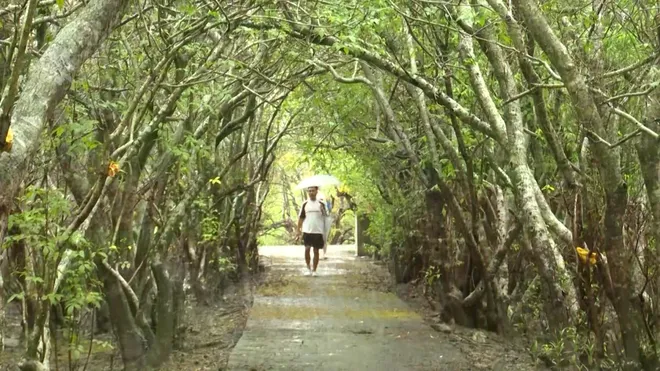 Sắc vàng thu Rú Chá- Ảnh 4. Sắc vàng thu Rú Chá- Ảnh 4.