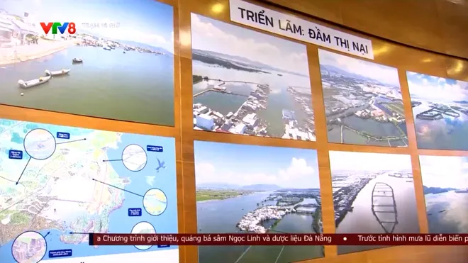 Triển lãm Đầm Thị Nại: Khám phá di sản thiên nhiên đáng được gìn giữ- Ảnh 7. Triển lãm Đầm Thị Nại: Khám phá di sản thiên nhiên đáng được gìn giữ- Ảnh 7.