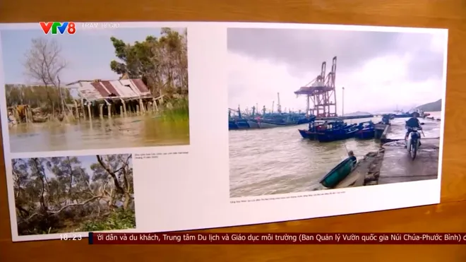 Triển lãm Đầm Thị Nại: Khám phá di sản thiên nhiên đáng được gìn giữ- Ảnh 5. Triển lãm Đầm Thị Nại: Khám phá di sản thiên nhiên đáng được gìn giữ- Ảnh 5.