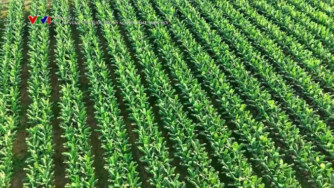 Gia Lai vững bước tiến vào kỷ nguyên phát triển mới- Ảnh 5. Gia Lai vững bước tiến vào kỷ nguyên phát triển mới- Ảnh 5.