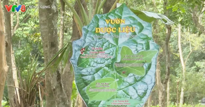 Mỹ Sơn Xanh - Hành trình phát huy giá trị di sản gắn với phát triển du lịch bền vững- Ảnh 5. Mỹ Sơn Xanh - Hành trình phát huy giá trị di sản gắn với phát triển du lịch bền vững- Ảnh 5.