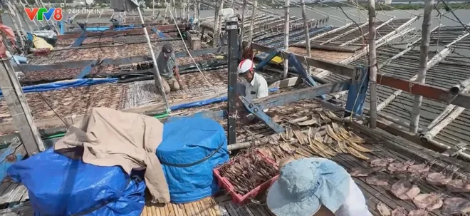 Cảng cá sông Trà Bồng cần sớm hoàn thiện hạ tầng để phát huy hiệu quả khai thác thủy sản- Ảnh 7. Cảng cá sông Trà Bồng cần sớm hoàn thiện hạ tầng để phát huy hiệu quả khai thác thủy sản- Ảnh 7.
