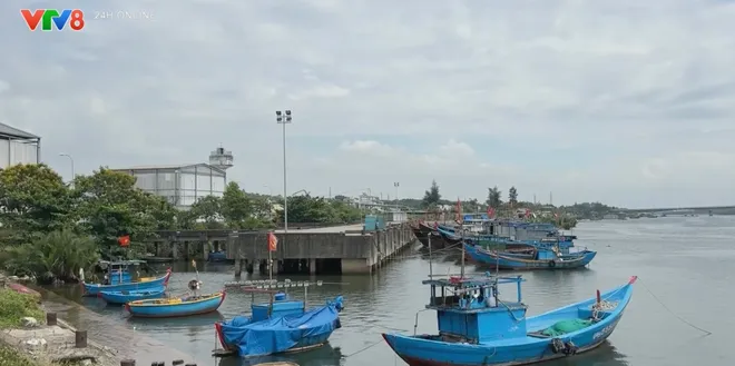 Cảng cá sông Trà Bồng cần sớm hoàn thiện hạ tầng để phát huy hiệu quả khai thác thủy sản- Ảnh 3. Cảng cá sông Trà Bồng cần sớm hoàn thiện hạ tầng để phát huy hiệu quả khai thác thủy sản- Ảnh 3.