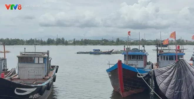 Cảng cá sông Trà Bồng cần sớm hoàn thiện hạ tầng để phát huy hiệu quả khai thác thủy sản- Ảnh 6. Cảng cá sông Trà Bồng cần sớm hoàn thiện hạ tầng để phát huy hiệu quả khai thác thủy sản- Ảnh 6.