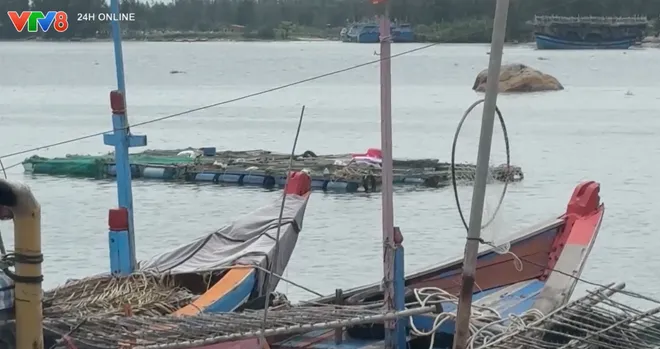 Cảng cá sông Trà Bồng cần sớm hoàn thiện hạ tầng để phát huy hiệu quả khai thác thủy sản- Ảnh 8. Cảng cá sông Trà Bồng cần sớm hoàn thiện hạ tầng để phát huy hiệu quả khai thác thủy sản- Ảnh 8.