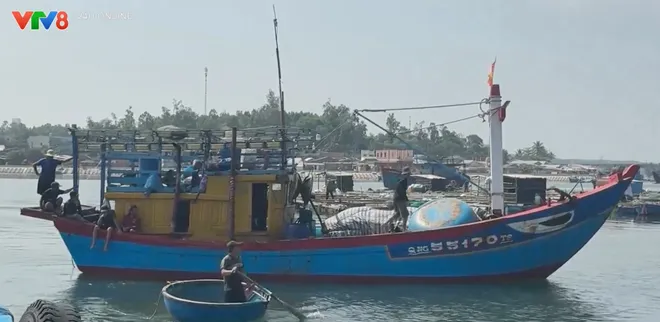 Cảng cá sông Trà Bồng cần sớm hoàn thiện hạ tầng để phát huy hiệu quả khai thác thủy sản- Ảnh 2. Cảng cá sông Trà Bồng cần sớm hoàn thiện hạ tầng để phát huy hiệu quả khai thác thủy sản- Ảnh 2.