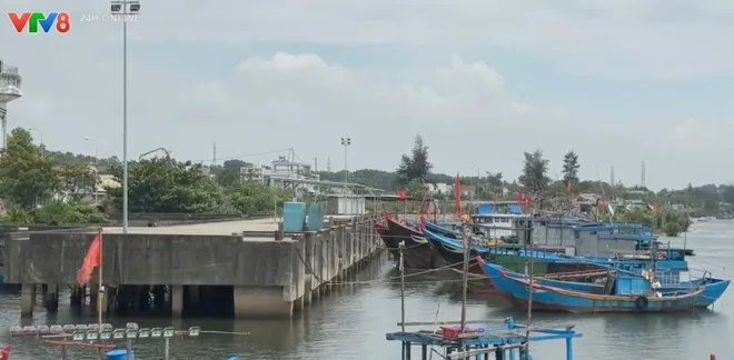 Cảng cá sông Trà Bồng cần sớm hoàn thiện hạ tầng để phát huy hiệu quả khai thác thủy sản- Ảnh 5. Cảng cá sông Trà Bồng cần sớm hoàn thiện hạ tầng để phát huy hiệu quả khai thác thủy sản- Ảnh 5.